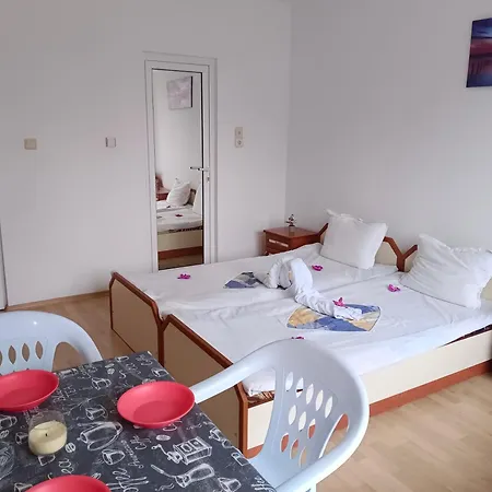 за гости ники 4*