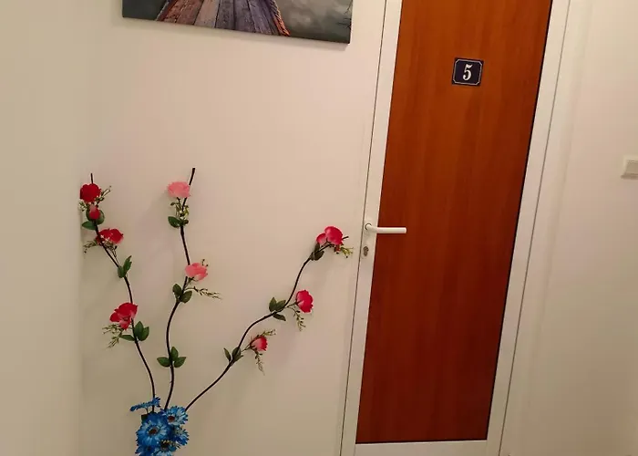 за гости ники Πανσιόν 4*