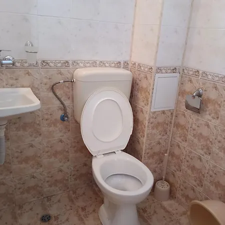 за гости ники 4*